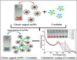 Synthesis and characterization of citrate-capped gold nanoparticles and their application in selective detection of creatinine (A kidney biomarker)