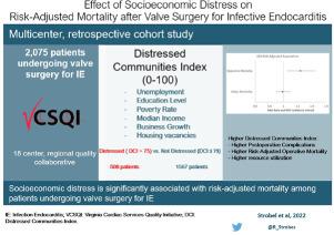 Effect of Socioeconomic Distress on Risk-Adjusted Mortality After Valve Surgery for Infective Endocarditis