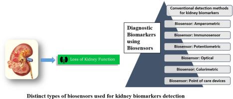 Diagnostic methods employing kidney biomarkers clinching biosensors as promising tools