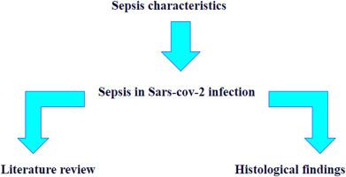 The role of SARS-COV-2 infection in promoting abnormal immune response and sepsis: A comparison between SARS-COV-2-related sepsis and sepsis from other causes