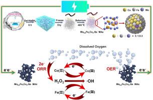 Bifunctional Mo-doped FeCo–Se aerogels catalysts with excellent OER and ORR activities for electro-Fenton process