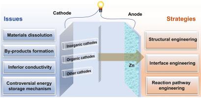 Issues and strategies of cathode materials for mild aqueous static zinc-ion batteries