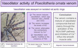 Vasodilator activity of Poecilotheria ornata venom involves activation of the NO/cGMP pathway and inhibition of calcium influx to vascular smooth muscle cells