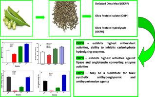 Okra seeds proteins: Amino acid profile, free radical scavenging activities and inhibition of diabetes and hypertensive converting enzymes indices