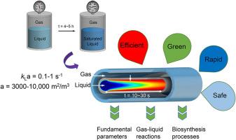 An efficient and safe platform based on the tube-in-tube reactor for implementing gas-liquid processes in flow