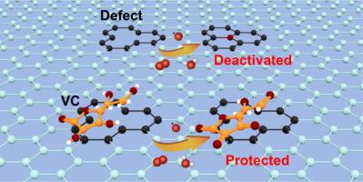 Rational design of vitamin C/defective carbon van der Waals heterostructure for enhanced activity, durability and storage stability toward oxygen reduction reaction