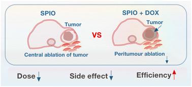 pH-Responsive doxorubicin-loaded magnetosomes for magnetic resonance-guided focused ultrasound real-time monitoring and ablation of breast cancer†