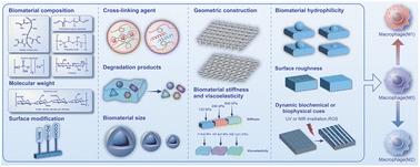 Potential effects of biomaterials on macrophage function and their signalling pathways