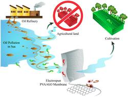 rGO induced enhanced antifouling properties in electrospun PVA–rGO nanocomposite membranes†