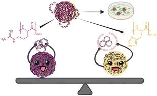 A catch-and-release nano-based gene delivery system†