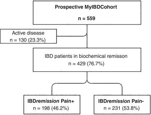 Abdominal pain in patients with inflammatory bowel disease in remission: A prospective study on contributing factors