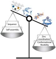 Factors influencing the catalytic activity of metal-dependent histidine-rich peptides: sequence, conformation, stereochemistry, self-assembly or their interplay?†