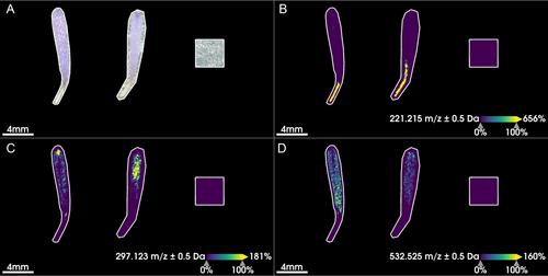 Spatially resolved detection of small molecules from press-dried plant tissue using MALDI imaging