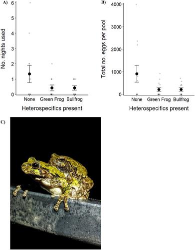 Female treefrog preference for breeding sites matches offspring performance in the presence of two anuran competitors