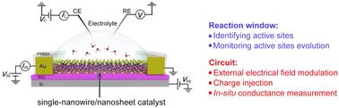 Emerging on-chip microcells in electrocatalysis: functions of window and circuit