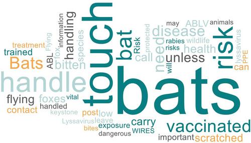 Communicating the risks of handling bats: analysing approaches used by Australian stakeholders in the context of Australian bat lyssavirus