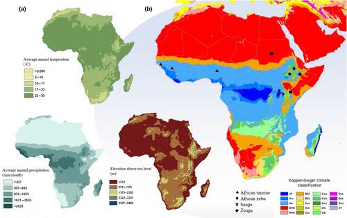 Candidate signatures of positive selection for environmental adaptation in indigenous African cattle: A review