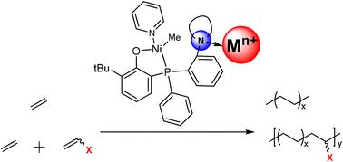 Lewis acid modulation in phosphorus phenol nickel catalyzed ethylene polymerization and copolymerization†