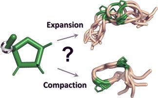 Not Only Expansion: Proline Content and Density Also Induce Disordered Protein Conformation Compaction