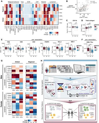 Hourglass, a rapid analysis framework for heterogeneous bioimaging data, identifies sex disparity in IL-6/STAT3-associated immune phenotypes in pancreatic cancer