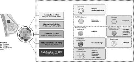 Phytochemical Loaded Nanovehicles of Biopolymer for Breast Cancer: A Systemic Review