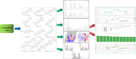 Chemical characterization, multivariate analysis and in vitro bioactivity evaluation of the roots of Fraxinus mandshurica