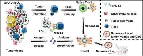 Nano-vaccines combining customized in situ anti-PD-L1 depot for enhanced tumor immunotherapy