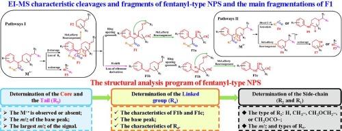 Study on electron ionization-mass spectrometry characteristic fragments and cleavage patterns of fentanyl-type new psychoactive substances