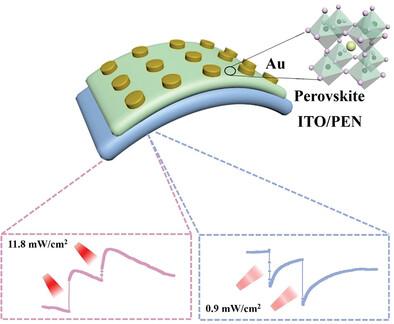 All-Optically Controlled Retinomorphic Memristor for Image Processing and Stabilization