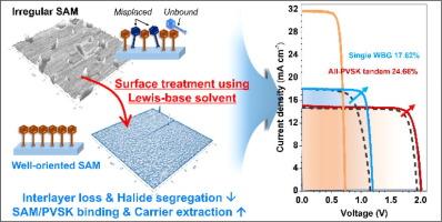 Surface-functionalized hole-selective monolayer for high efficiency single-junction wide-bandgap and monolithic tandem perovskite solar cells