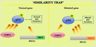 A novel artificial intelligence approach to detect the breast cancer using KNNet technique with EPM gene profiling