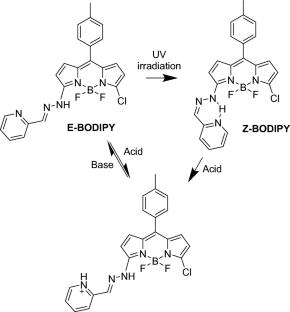 Functionalization of BODIPY Dyes with Additional C–N Double Bonds and Their Applications