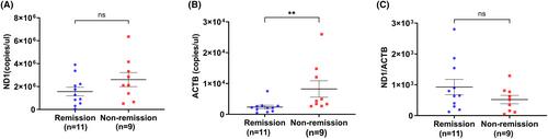 Clinicopathological and circulating cell-free DNA profile in myositis associated with anti-mitochondrial antibody