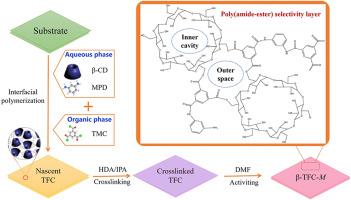 Construction of highly permeable organic solvent nanofiltration membrane via β-cyclodextrin assisted interfacial polymerization