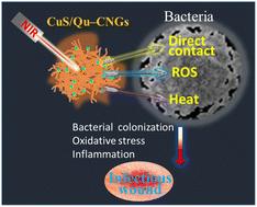 NIR-activated quercetin-based nanogels embedded with CuS nanoclusters for the treatment of drug-resistant biofilms and accelerated chronic wound healing†
