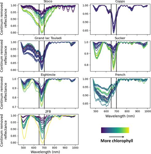 A new index for the rapid generation of chlorophyll time series from hyperspectral imaging of sediment cores