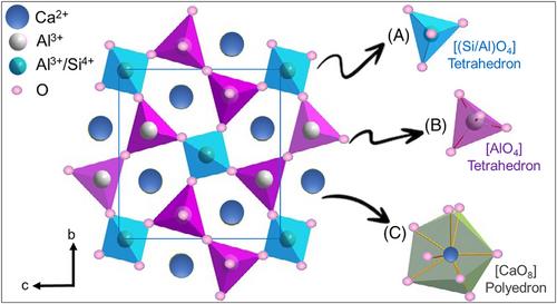 Glass-ceramic: Controlled crystallization of glasses obtained from biomass ash