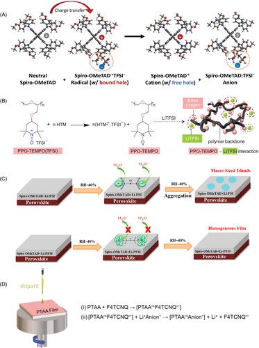 Rationally designed hole transporting layer system for efficient and stable perovskite solar cells