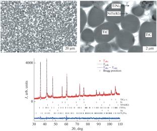 Forced SHS Compaction of TiC–NiTi Composites