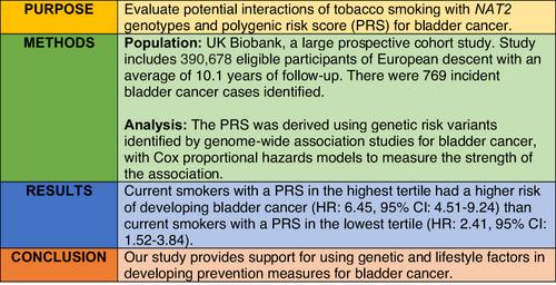 Evaluating interactions of polygenic risk scores and NAT2 genotypes with tobacco smoking in bladder cancer risk