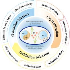 Oxidation behavior of amorphous and nanocrystalline SiBCN ceramics – Kinetic consideration and microstructure