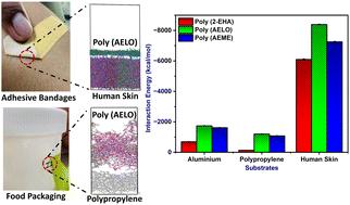 Combined computational and experimental approach for bio-sourced monomers to design green pressure-sensitive adhesives†