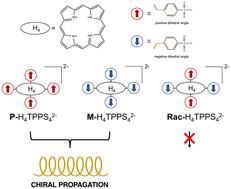 Chiral self-organization of the TPPS4 porphyrin assisted by molecular rotations†