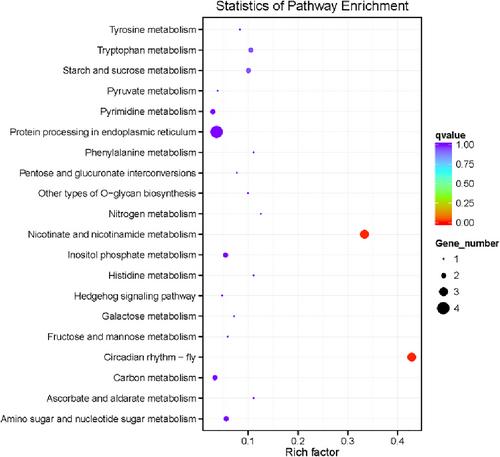 Waggle dance-related gene expression profiles in the honey bee (Apis mellifera) brain