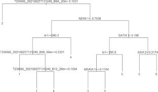 Multisensor analysis for environmental targets identification in the region of Funil dam, state of Minas Gerais, Brazil