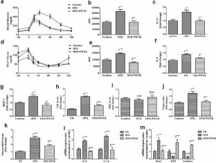 Pancreastatin inhibitor PSTi8 ameliorates insulin resistance by decreasing fat accumulation and oxidative stress in high-fat diet-fed mice