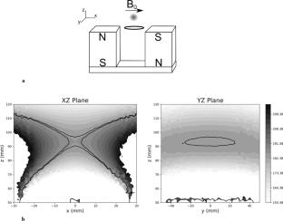 Automated Eating Quality Measurements on Lamb Carcases in a Processing Plant Using Unilateral NMR