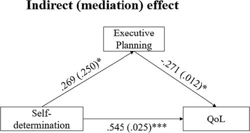 The associations among executive planning, self-determination, and quality of life in adolescents with intellectual disability