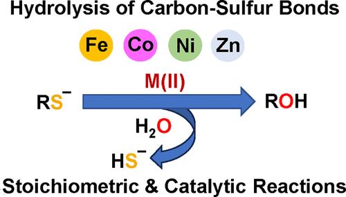 Transition Metal Mediated Hydrolysis of C–S Bonds: An Overview of a New Reaction Strategy