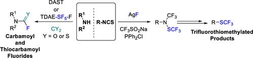 Synthesis of Fluorinated Amines: A Personal Account